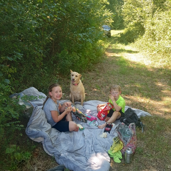 Meet your Posher, Shelley - Picture 2 of 3